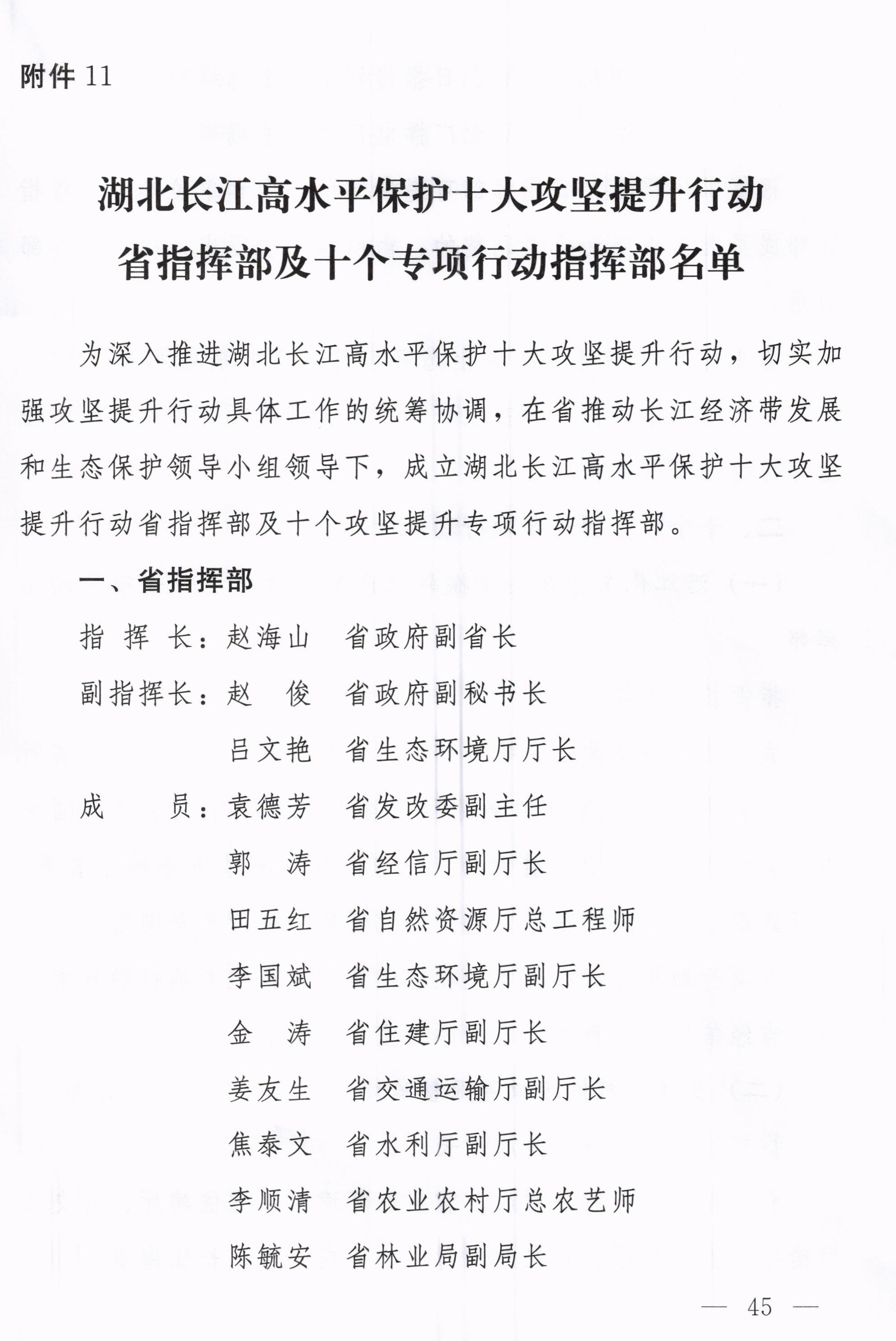 湖北省印发长江高水平保护十大攻坚提升行动方案(图48)