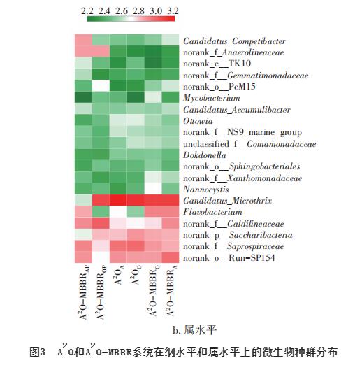 大型污水厂中填料对A2O系统微生物种群的影响(图6)
