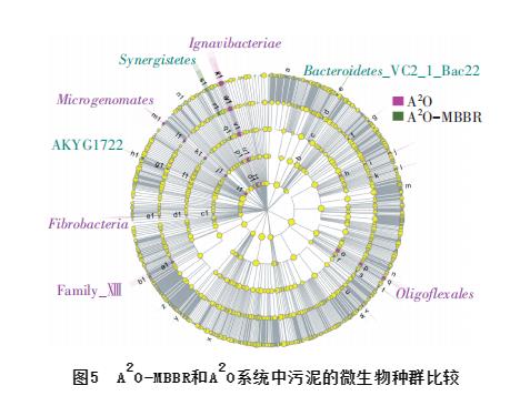大型污水厂中填料对A2O系统微生物种群的影响(图5)