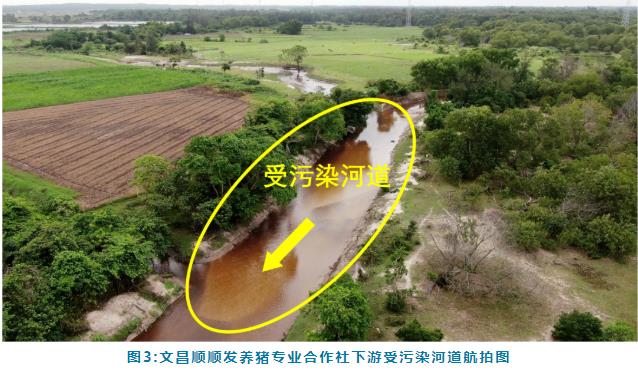 2.jpg 典型案例 丨文昌市珠溪河流域水质污染严重控源截污成效不明显 水环境问题依然突出(图3)