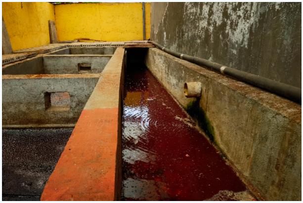 1.jpg 典型案例丨以逃避监管方式排放水污染物 临沂一企业负责人被行政拘留9日!(图1)