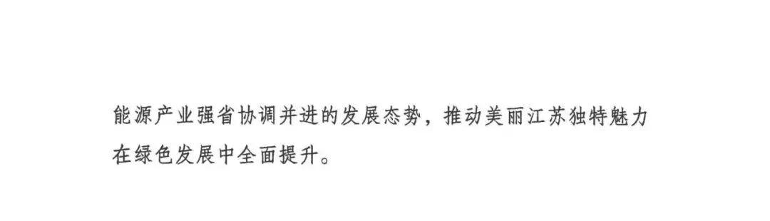 江苏省“十四五”可再生能源规划：生活垃圾焚烧发电装机规模达到200万千瓦左右(图10)