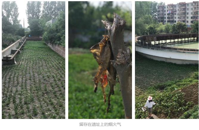探索概念厂改造新模式：河南息县第三污水处理厂(图5)