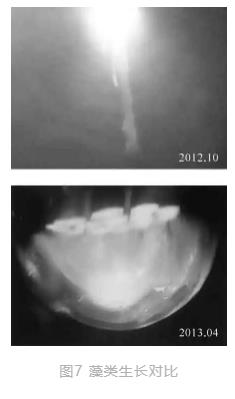 世界唯一水下博物馆中的循环水净化工艺(图7)