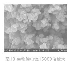 世界唯一水下博物馆中的循环水净化工艺(图9)