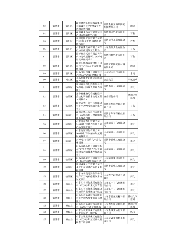 山东：关于继续保留实施和关停退出“两高”项目清单（第一批）的公示(图4)