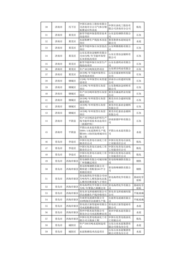 山东：关于继续保留实施和关停退出“两高”项目清单（第一批）的公示(图2)